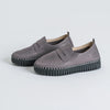 TULIP 3864 GREYBLACK