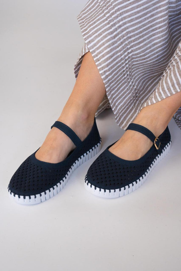TULIP 3476 DARKINDIGO