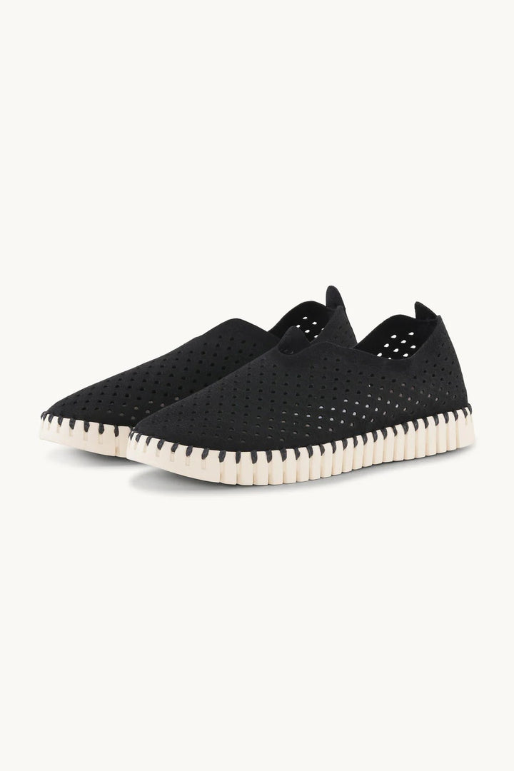 TULIP139 BLACK