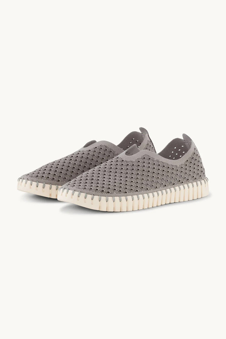 TULIP139 GREY