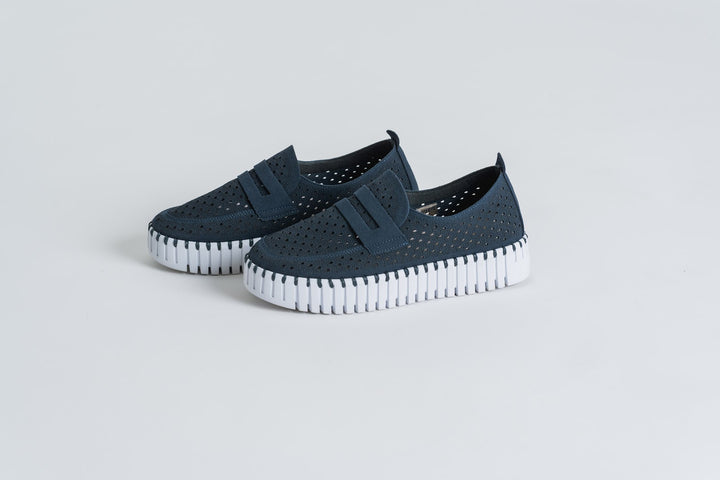 TULIP 3899 DARK INDIGO