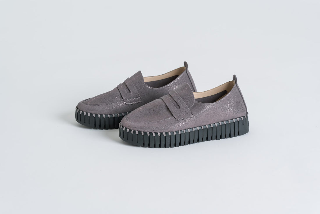 TULIP 3864 GREYBLACK