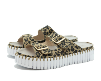 TULIP 1175LE LEOPARD