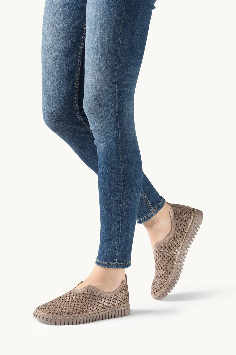 TULIP 3224 Falcon