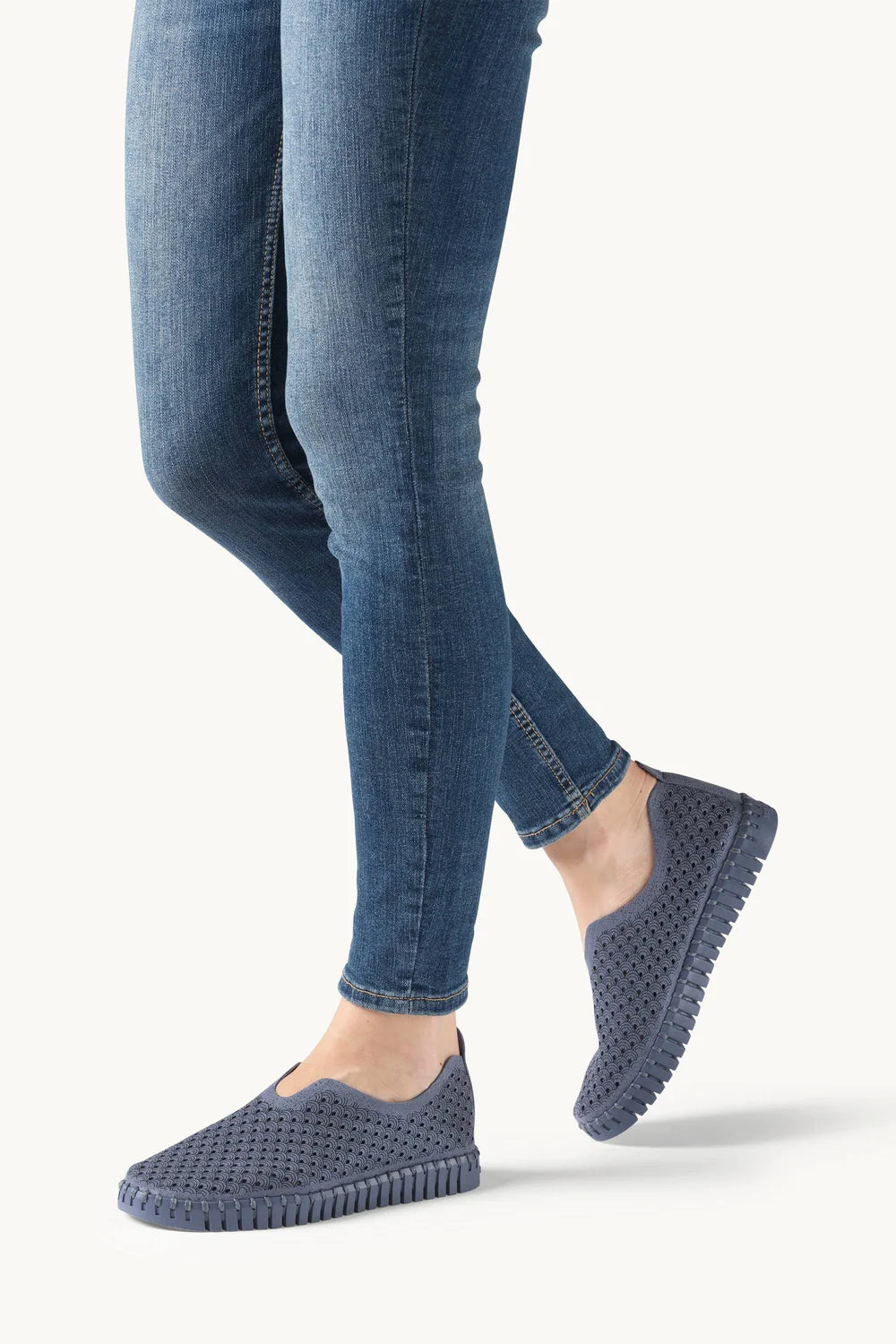 TULIP 3224 Ombre Blue