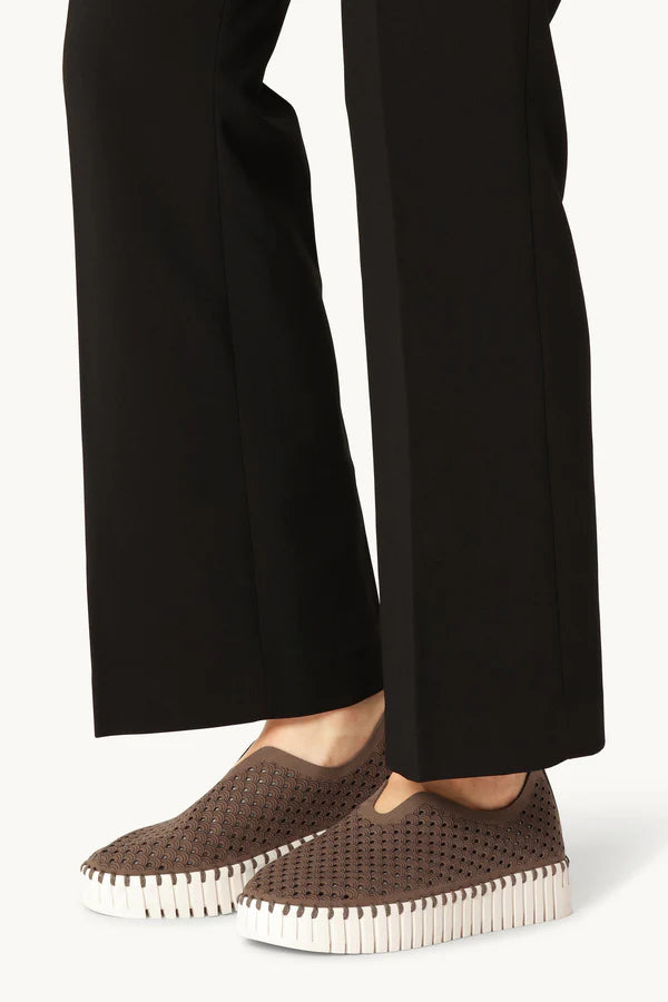 TULIP 3373 BROWN