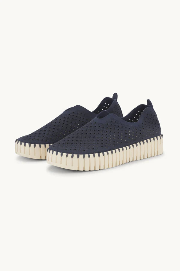 TULIP 3373 DARK INDIGO