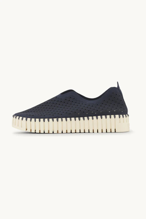 TULIP 3373 DARK INDIGO