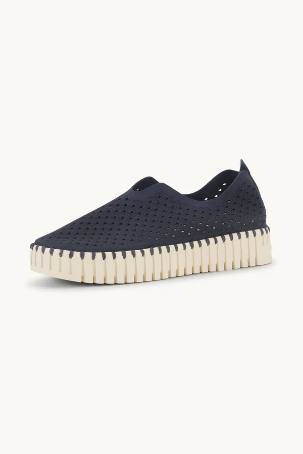 TULIP 3373 DARK INDIGO