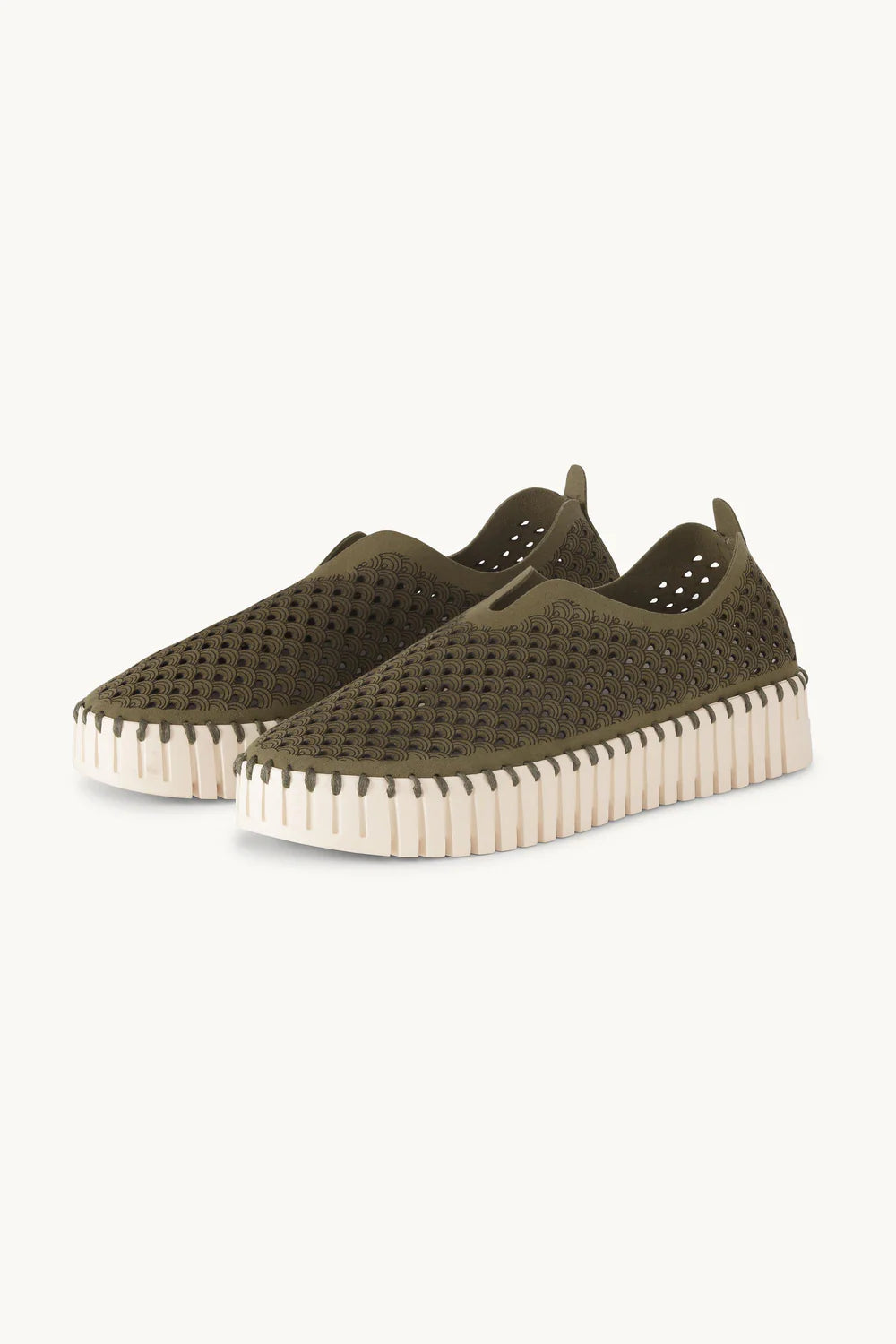 TULIP 3373 DEEP OLIVE
