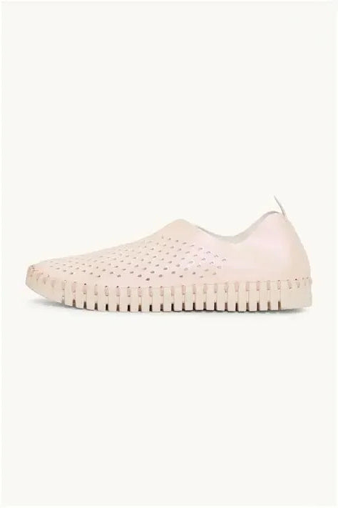 TULIP 576N METALLICROSE