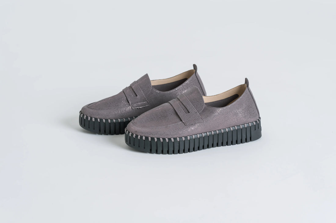 TULIP 3864 GREYBLACK