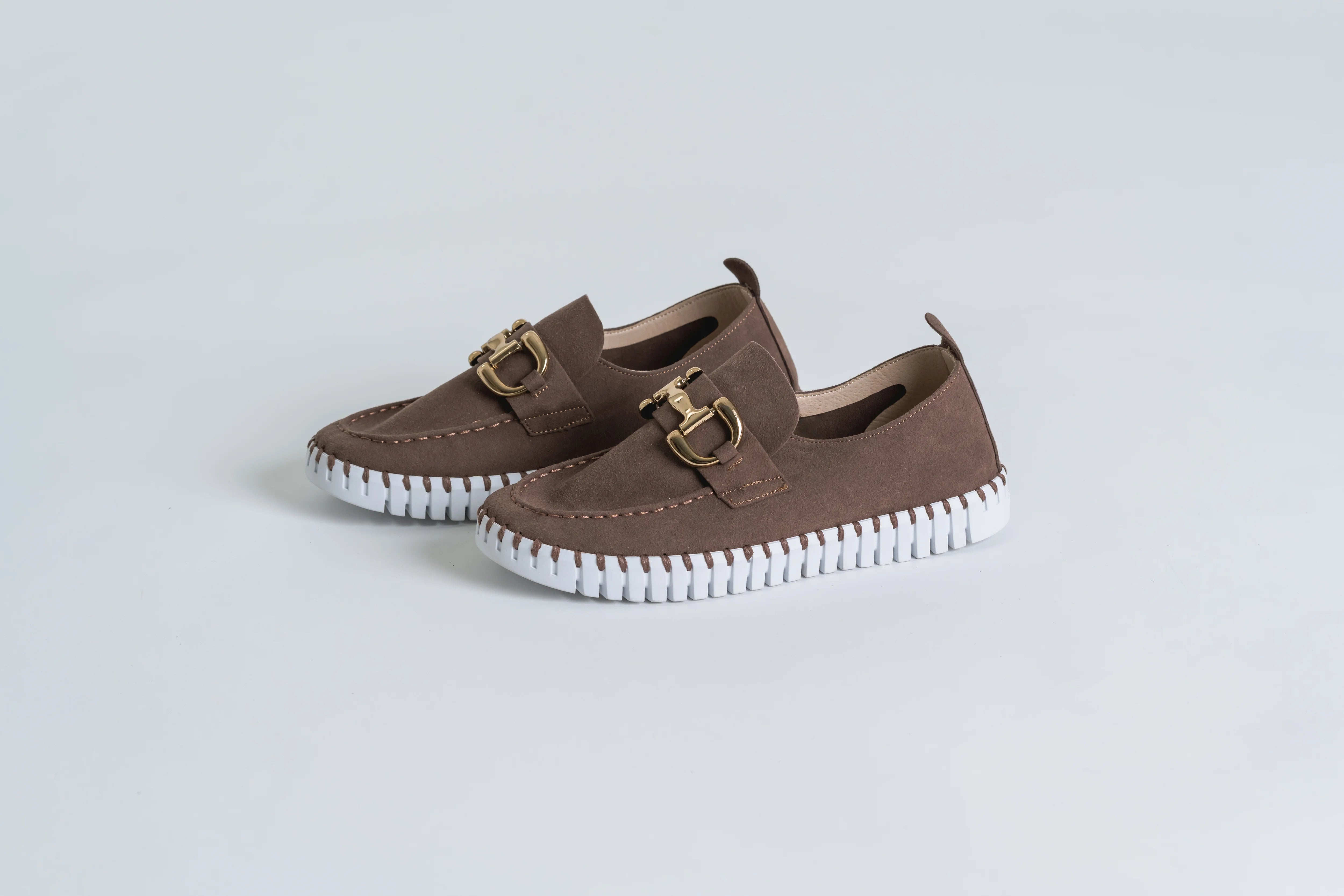 TULIP 3874 BROWN