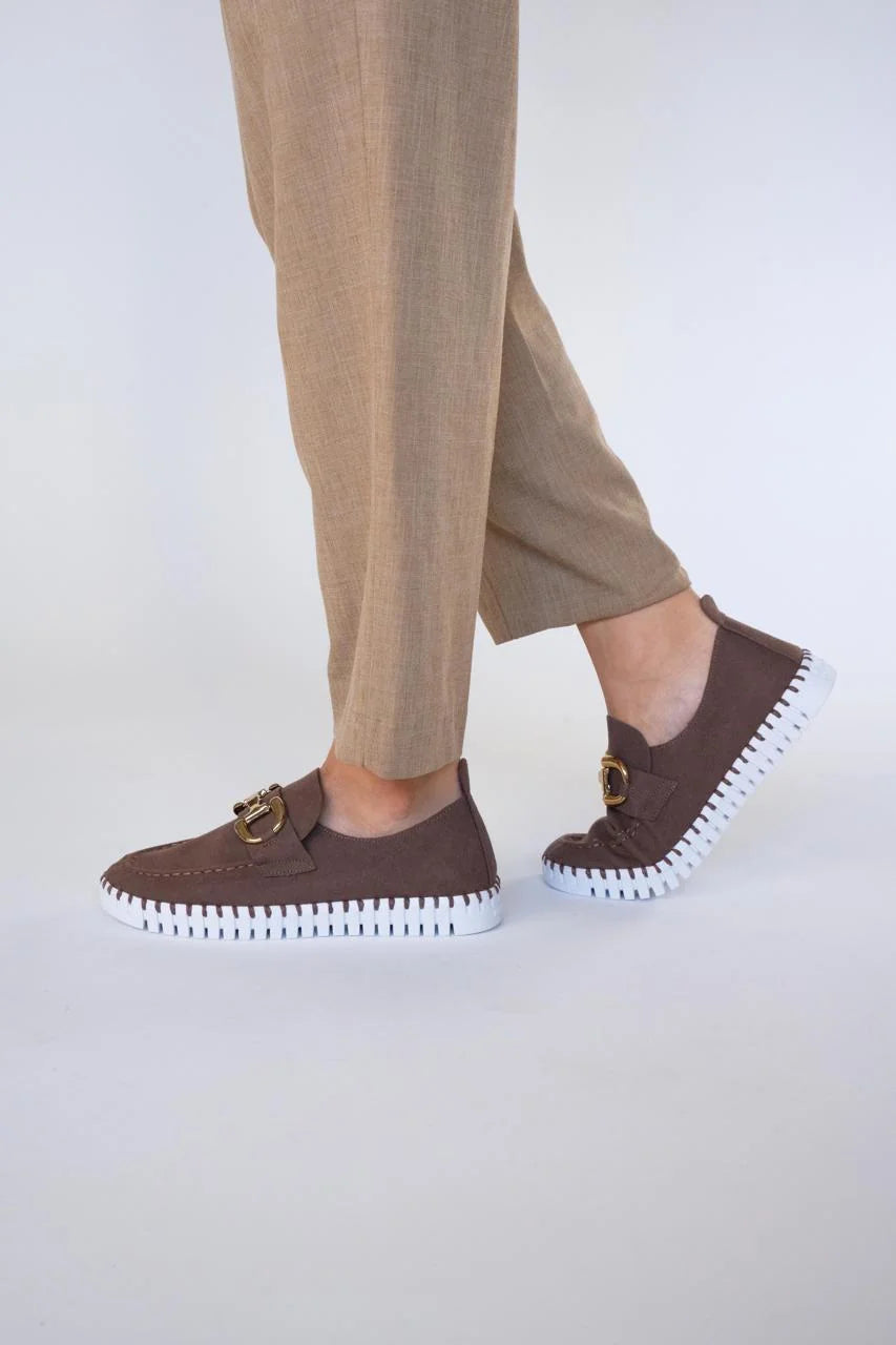 TULIP 3874 BROWN
