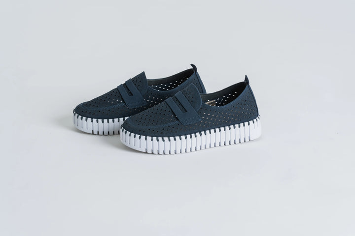 TULIP 3899 DARK INDIGO