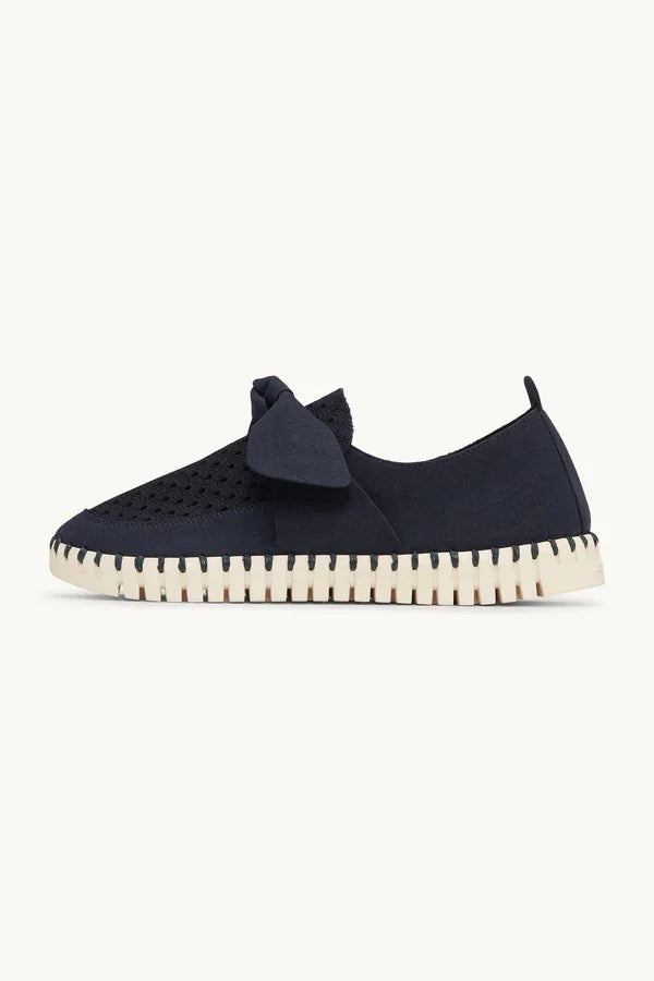 TULIP 4086 DARKINDIGO