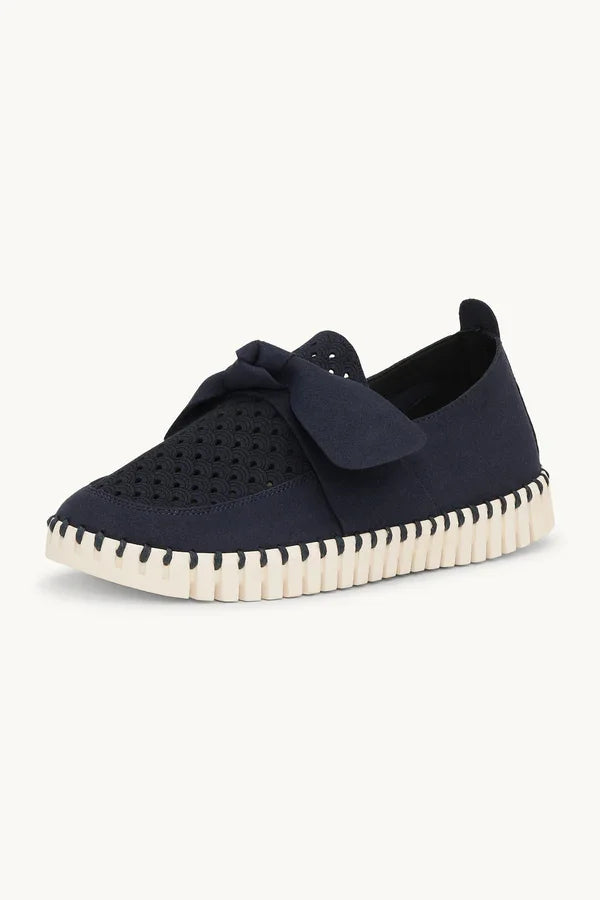 TULIP 4086 DARKINDIGO