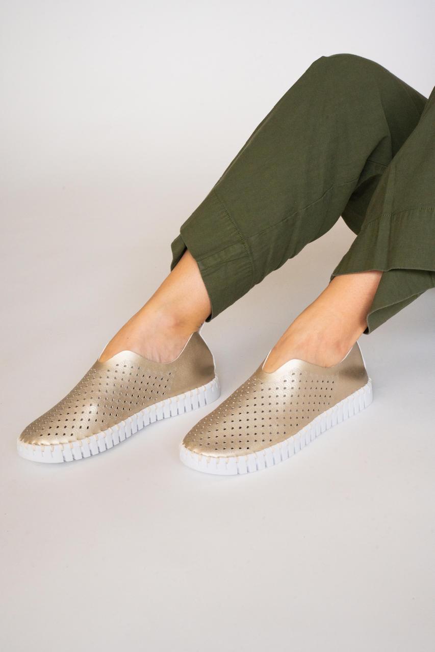 TULIP 3576 PLATIN