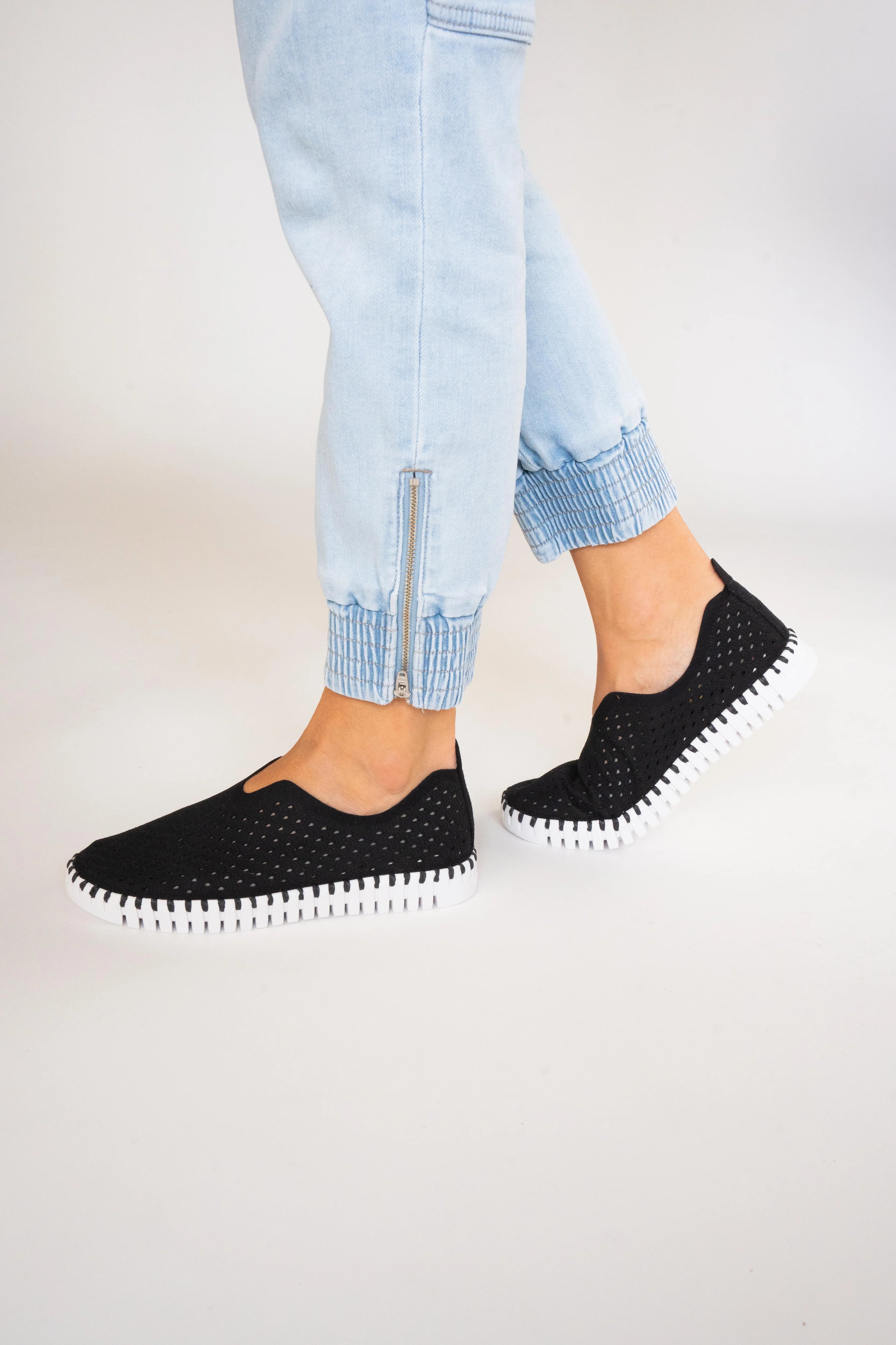 TULIP 139 BLACK