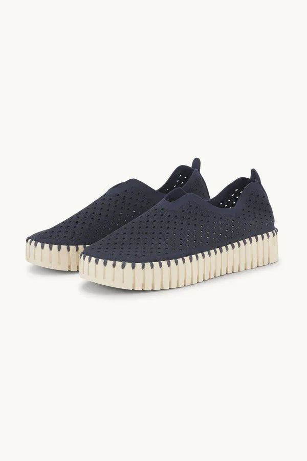 TULIP 3373 DARK INDIGO