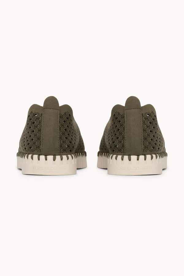 TULIP 139 DEEP OLIVE