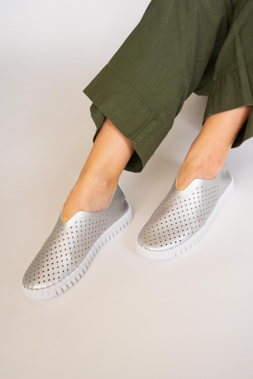 TULIP 3576 SILVER