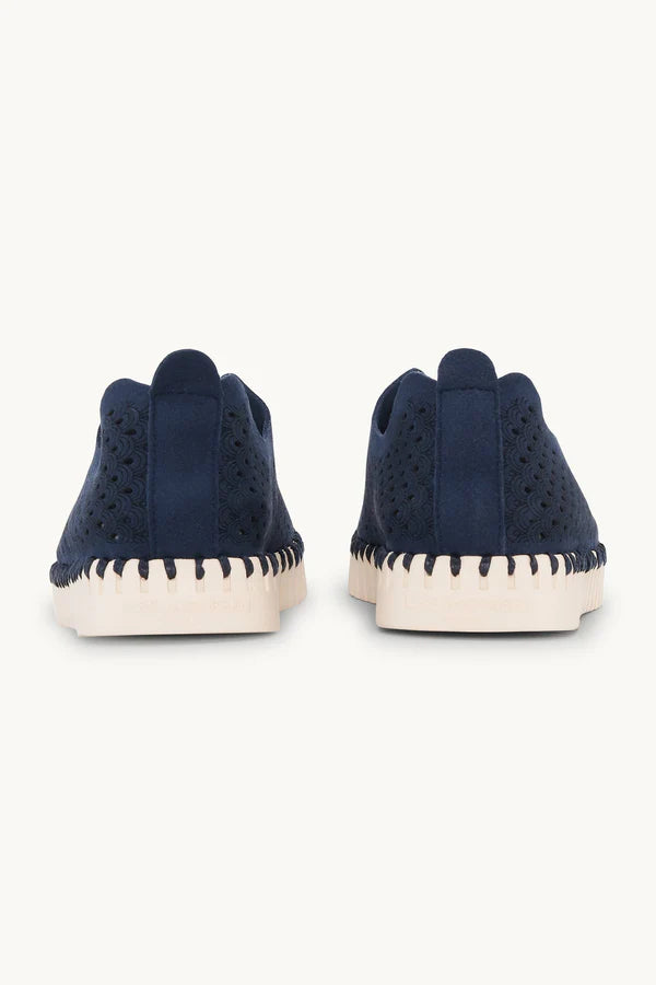 TULIP 139 DARK INDIGO