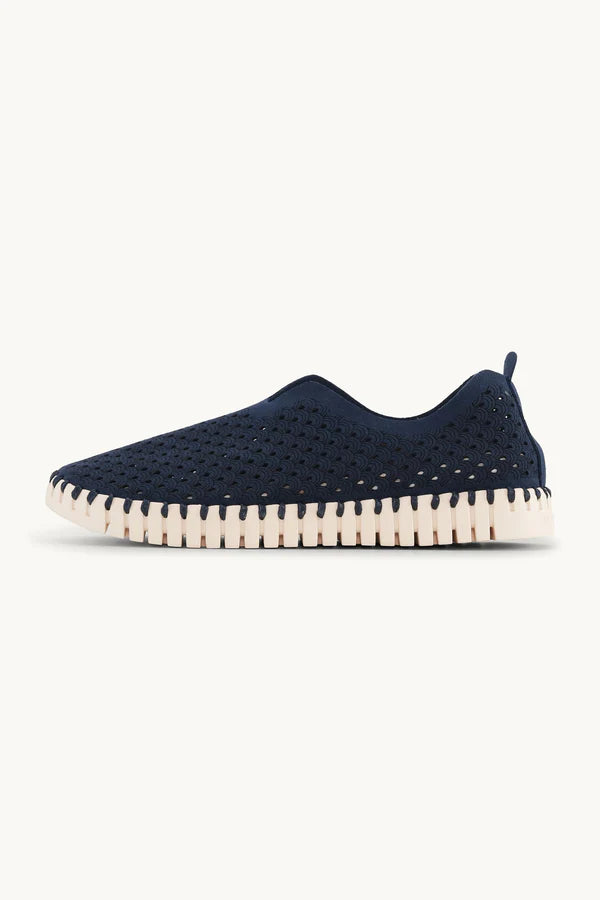 TULIP 139 DARK INDIGO