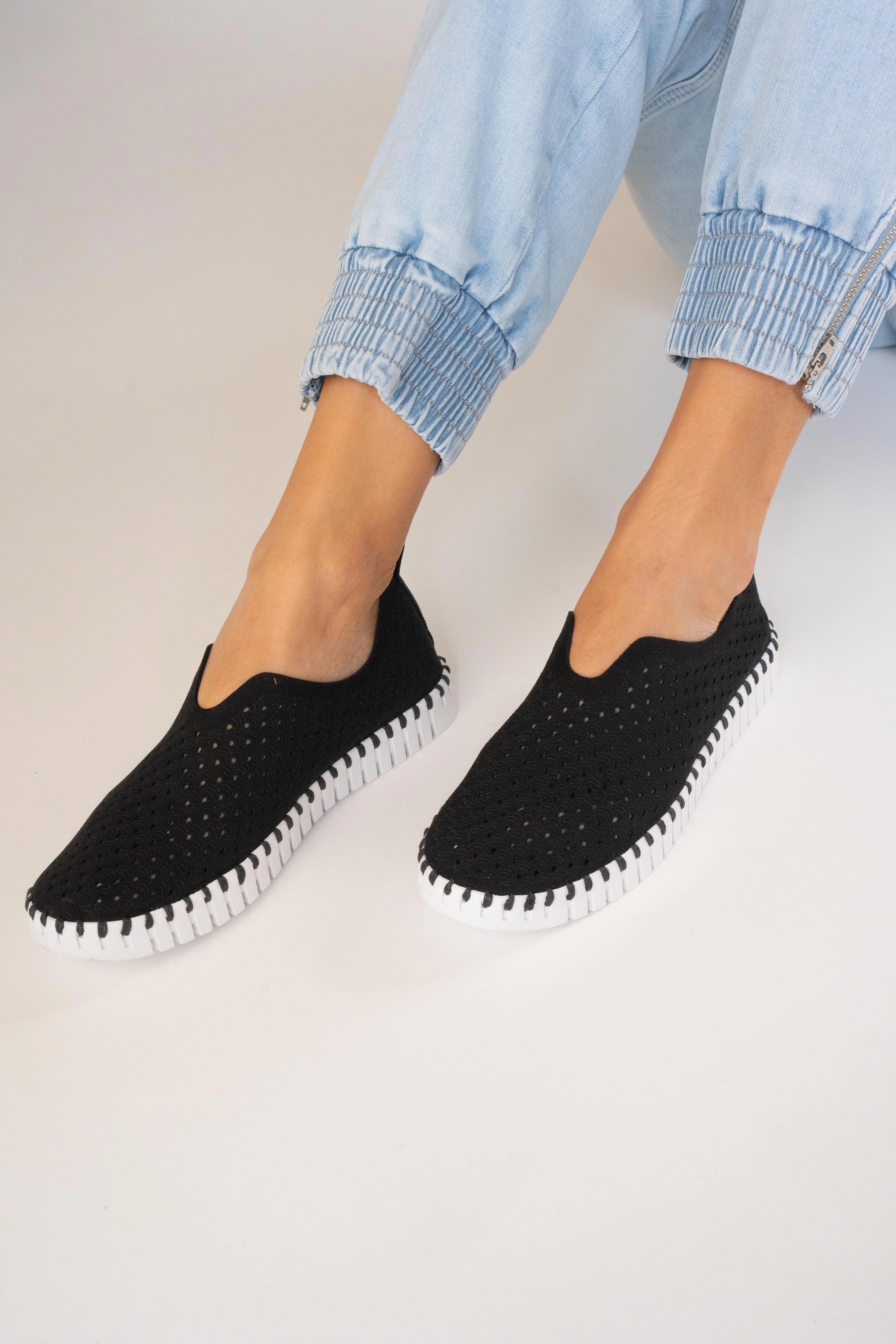 TULIP 139 BLACK