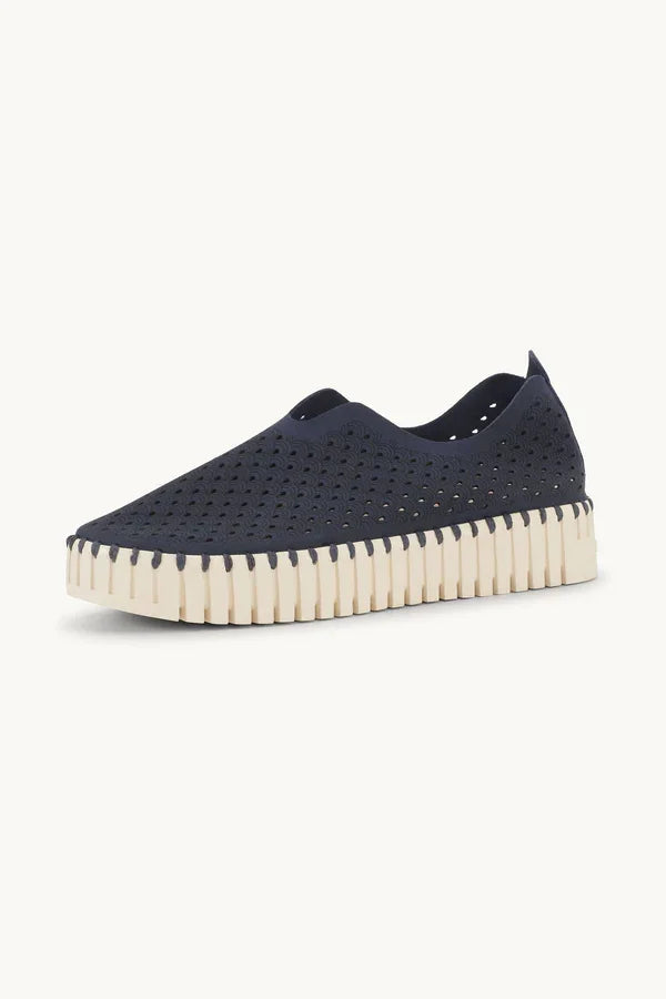 TULIP 3373 DARK INDIGO