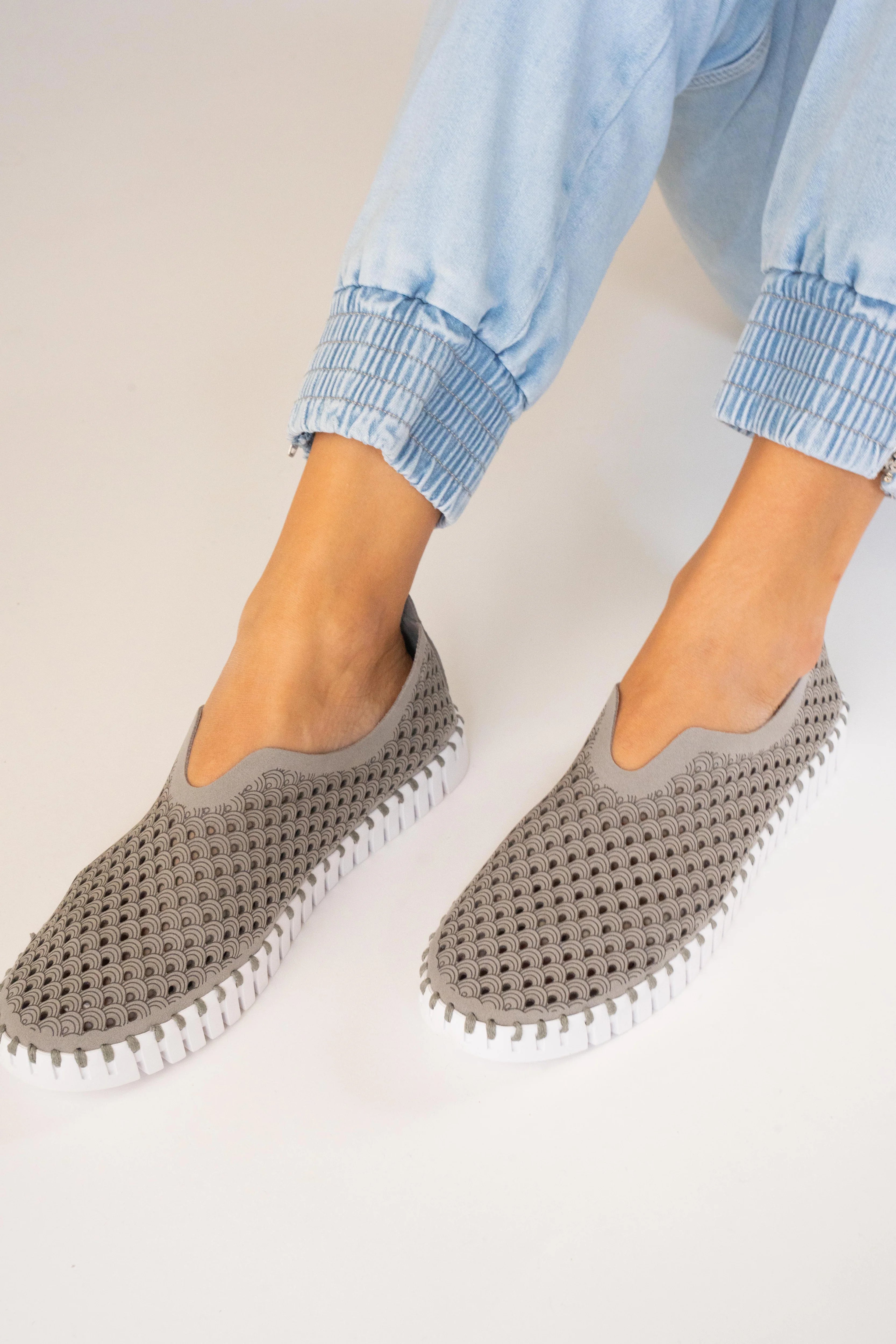 TULIP 139 GREY