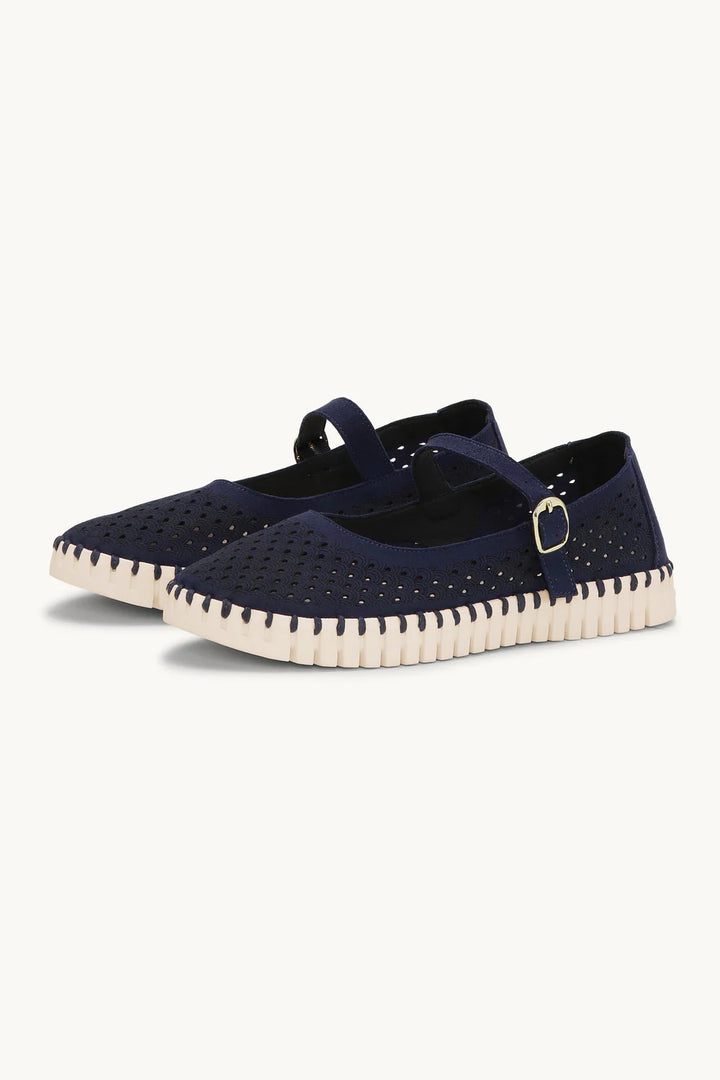 TULIP 3476 DARK INDIGO