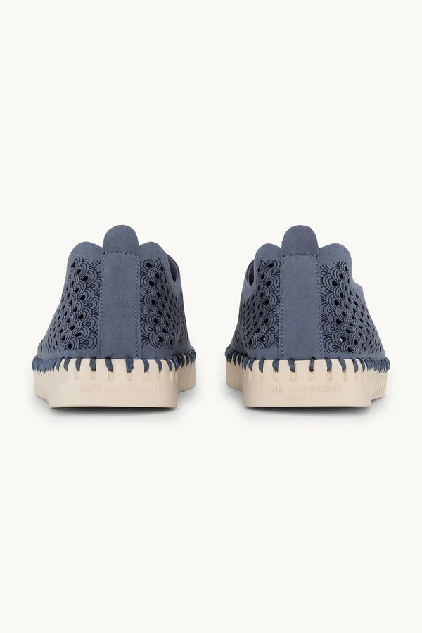 TULIP 139 GREY BLUE