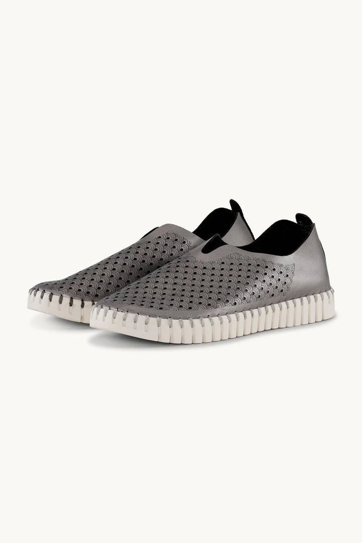 TULIP 3576 GUNMETAL